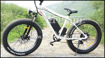 Electric Bicycles